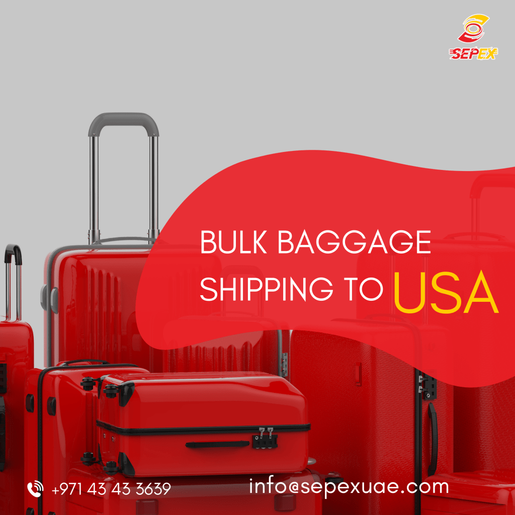 Sea Cargo for Bulk Baggage Shipping