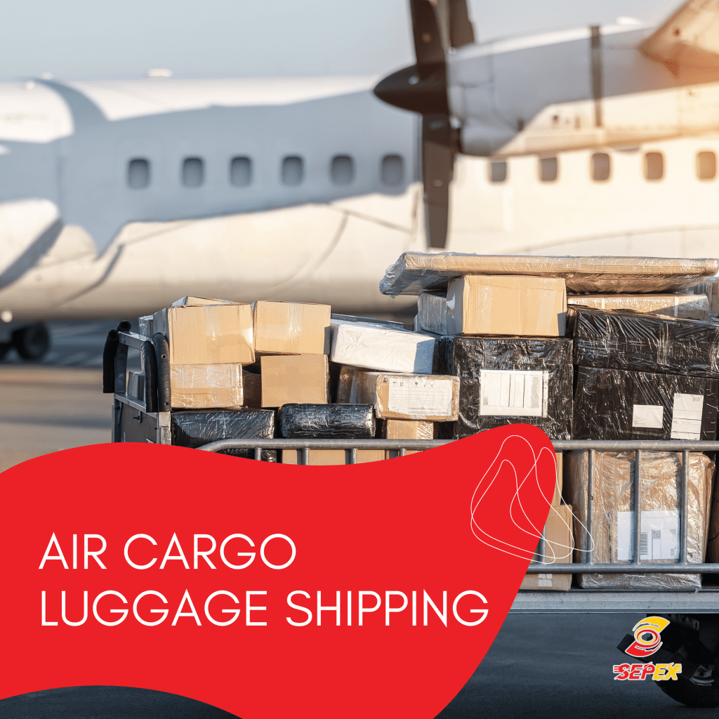 Air Cargo Luggage Shipping