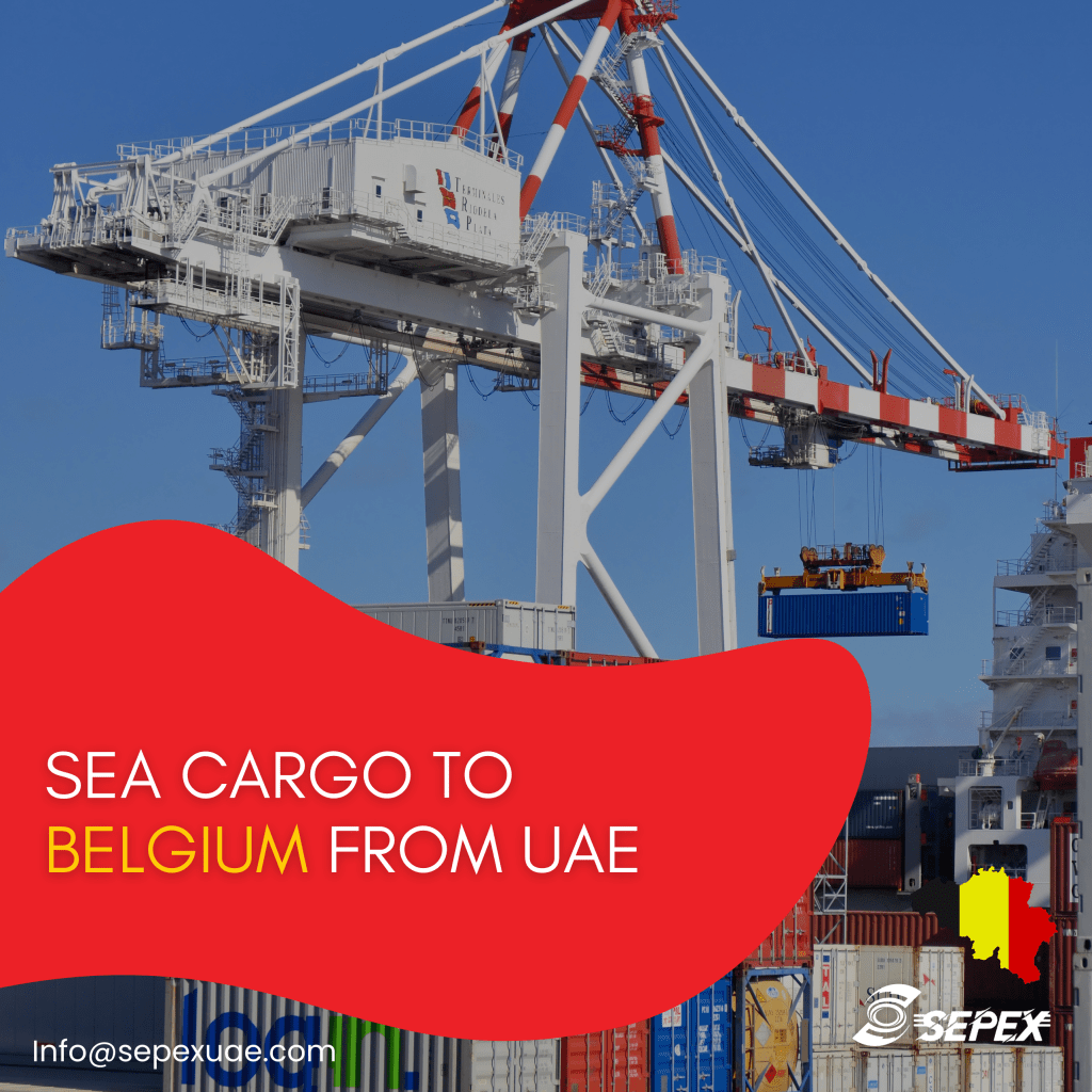 Sea Cargo to Belgium from UAE​